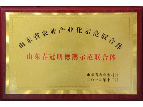 山东省农业产业化示范联合体