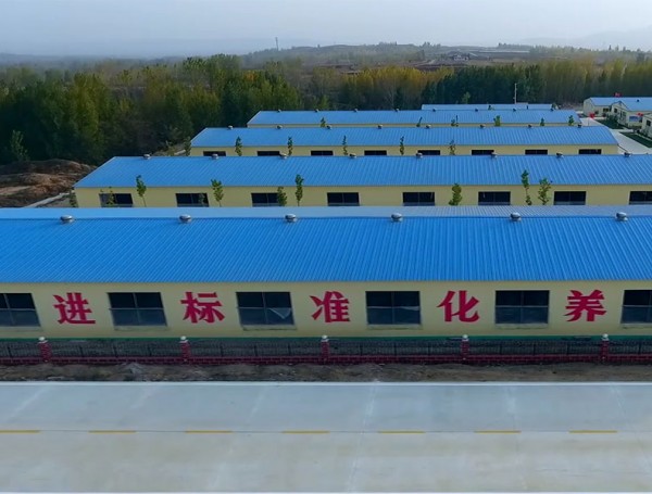 基地展示