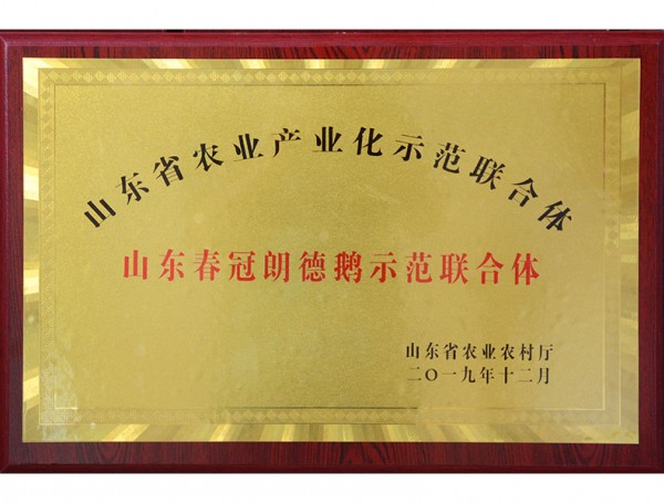 山东省农业产业化示范联合体