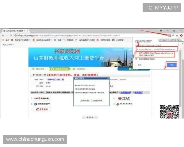 壹号娱乐网页入口在线观看用户指南与常见问题解答全解析