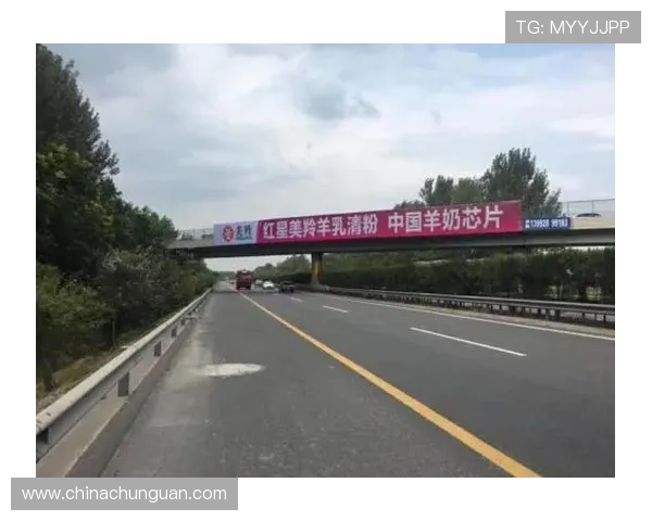 壹号专用红星：如何通过创新策略提升红星品牌的市场影响力与品牌认知度