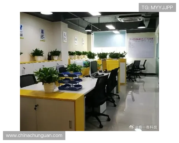 壹号信息官网首页：壹号信息官网首页为用户提供便捷的操作入口与服务指南