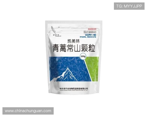 壹号城平台药品的全面介绍与使用指南，助你轻松掌握药品购买与管理技巧